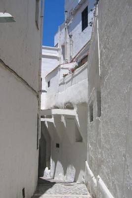 Book cover for A White Alleyway in Greece