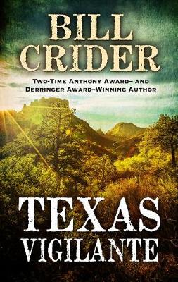 Book cover for Texas Vigilante