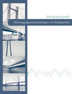 Book cover for Bruckendynamik - Schwingungsuntersuchungen von Schragseilen