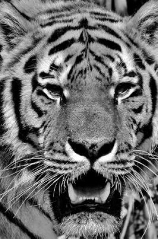 Cover of Close Up of a Beautiful Tiger in Black and White Journal