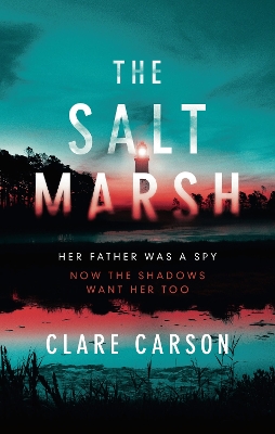 Book cover for The Salt Marsh