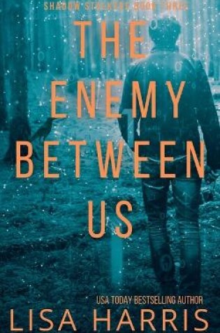 Cover of The Enemy Between Us