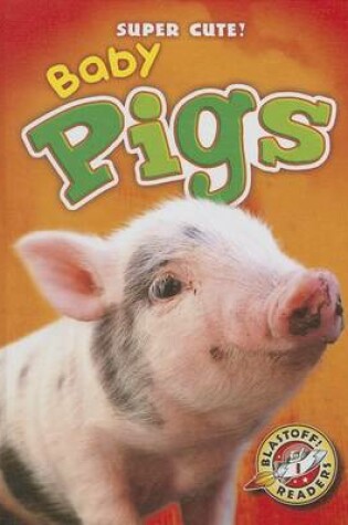 Cover of Baby Pigs