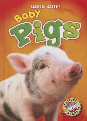 Book cover for Baby Pigs