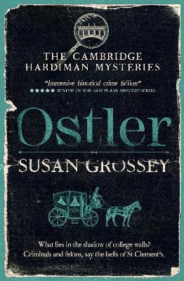 Book cover for Ostler