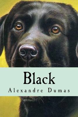 Book cover for Black