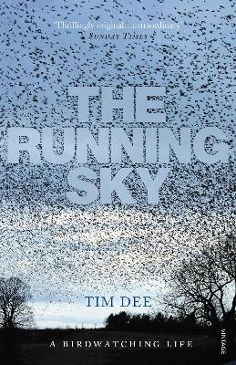 Book cover for The Running Sky