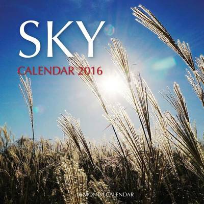 Book cover for Sky Calendar 2016