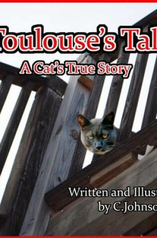 Cover of Toulouse's Tale