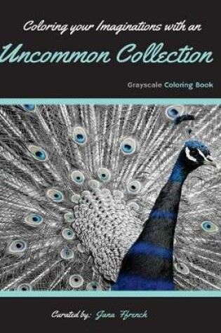 Cover of Coloring your Imaginations with Uncommon Collection