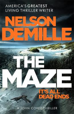 Book cover for The Maze
