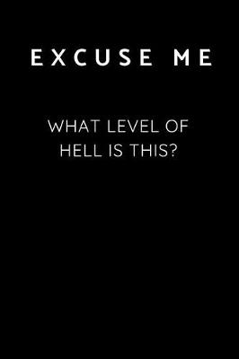 Book cover for Excuse Me - What Level of Hell is This?