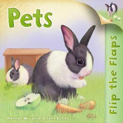 Book cover for Pets