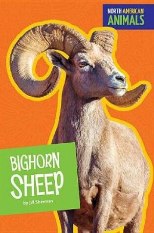 Cover of Bighorn Sheep