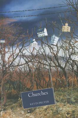 Book cover for Churches