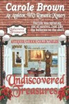Book cover for Undiscovered Treasures
