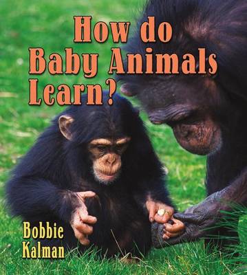 Book cover for How Do Baby Animals Learn