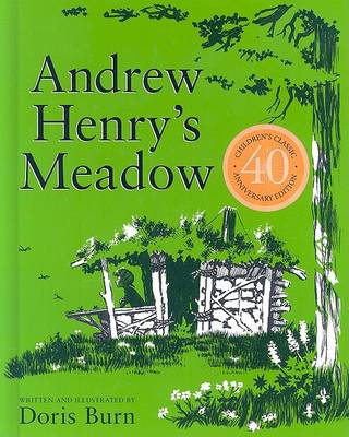 Book cover for Andrew Henry's Meadow