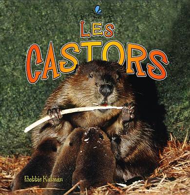 Cover of Les Castors