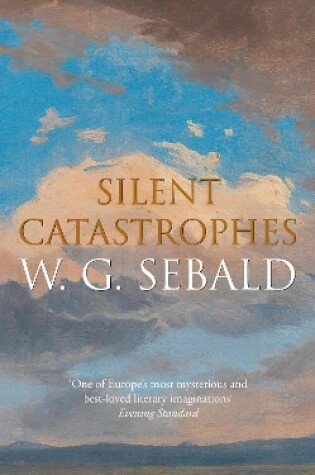 Cover of Silent Catastrophes