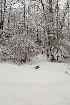 Book cover for Journal Scenic Winter Weather Woodlands