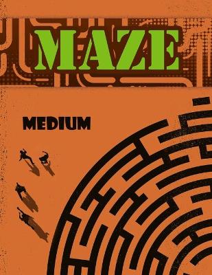 Book cover for Maze Book for Kids