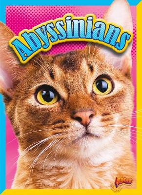 Cover of Abyssinians