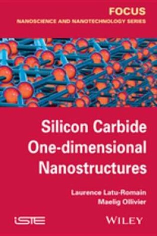 Cover of Silicon Carbide One-dimensional Nanostructures