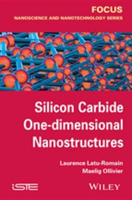 Book cover for Silicon Carbide One-dimensional Nanostructures