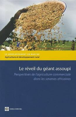 Book cover for Le reveil du geant assoupi