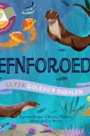 Cover of Cyfres Goleuo'r Dudalen: Cefnforoedd