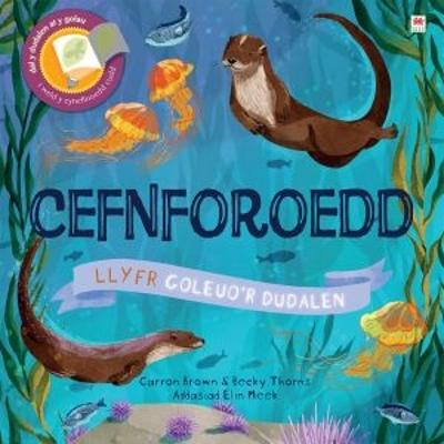 Book cover for Cyfres Goleuo'r Dudalen: Cefnforoedd