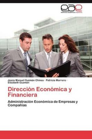 Cover of Direccion Economica y Financiera