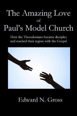 Book cover for The Amazing Love of Paul's Model Church