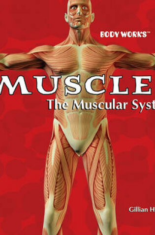 Cover of Muscles: The Muscular System