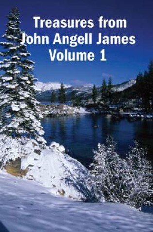 Cover of Treasures from John Angell James Volume 1