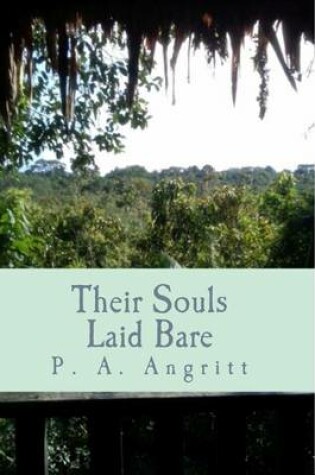 Cover of Their Souls Laid Bare