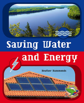Book cover for Saving Water and Energy