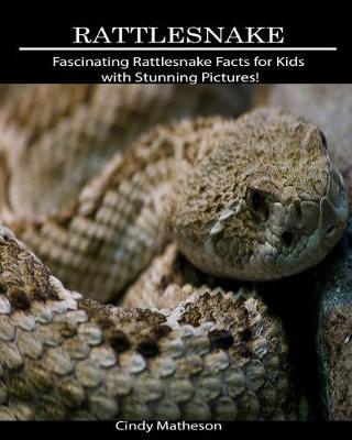 Book cover for Rattlesnake