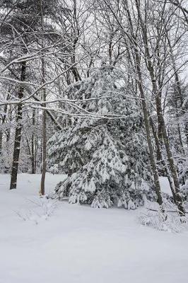 Book cover for Winter Weather Journal Snowstorm Trees