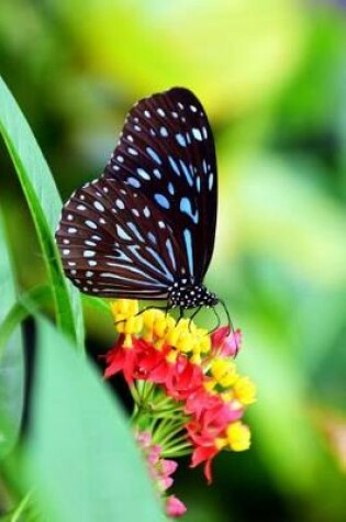 Cover of Pretty Blue Tiger Butterfly and Flowers Journal