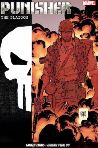 Cover of Punisher: Max