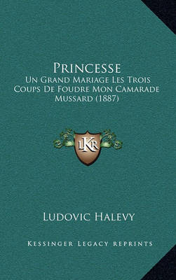 Book cover for Princesse