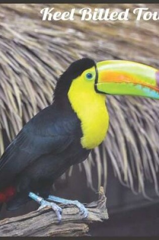 Cover of Keel Billed Toucan 2021 Wall Calendar