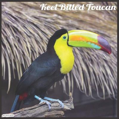 Book cover for Keel Billed Toucan 2021 Wall Calendar