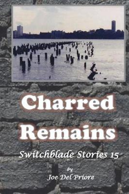 Book cover for Charred Remains