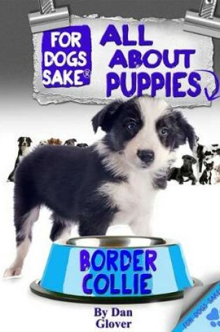 Cover of All about Border Collie Puppies
