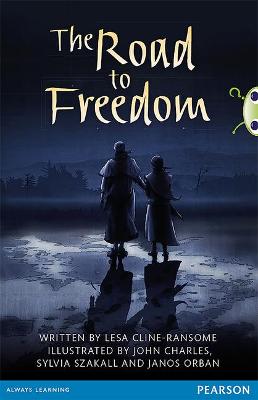 Book cover for Bug Club Pro Guided Year 6 The Road to Freedom