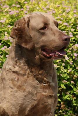 Cover of Chesapeake Bay Retriever