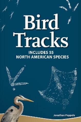Cover of Bird Tracks